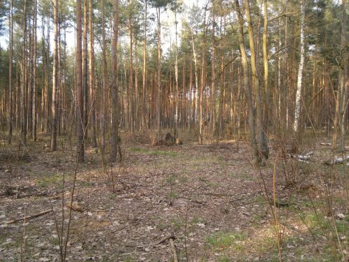 Wyświetl zdjęcie w pełnym rozmiarze