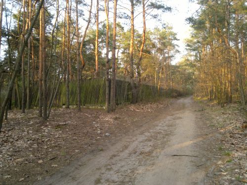 Wyświetl zdjęcie w pełnym rozmiarze