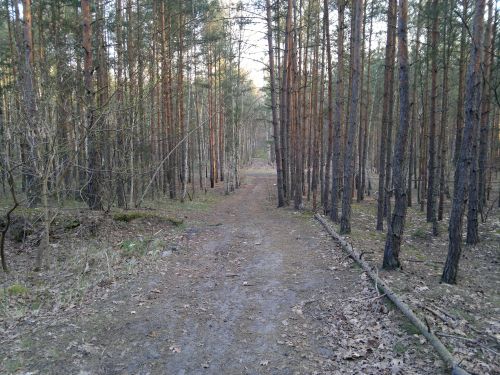 Wyświetl zdjęcie w pełnym rozmiarze