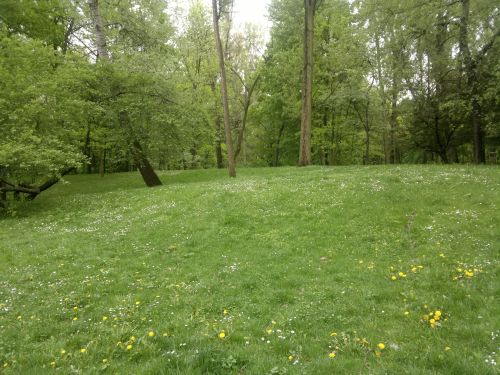 Wyświetl zdjęcie w pełnym rozmiarze